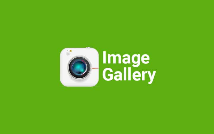 Image Gallery Modal Box