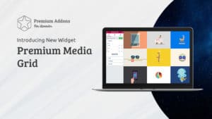 Read more about the article New Elementor Widget: Premium Media Grid